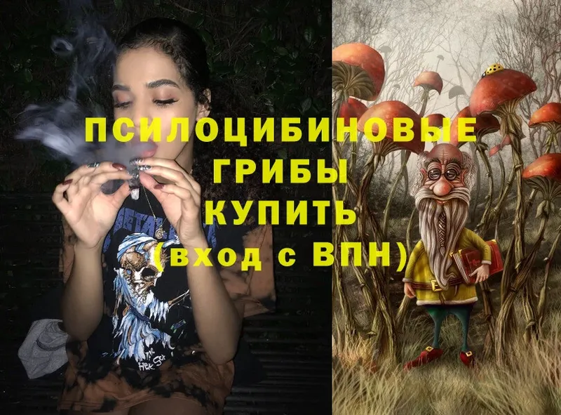 Псилоцибиновые грибы MAGIC MUSHROOMS  сколько стоит  Новокубанск 